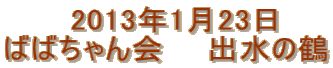 　　　2013年1月23日 ばばちゃん会　　出水の鶴