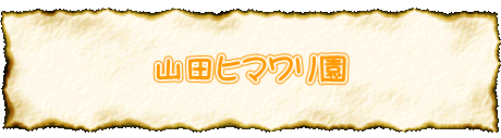 山田ヒマワリ園 